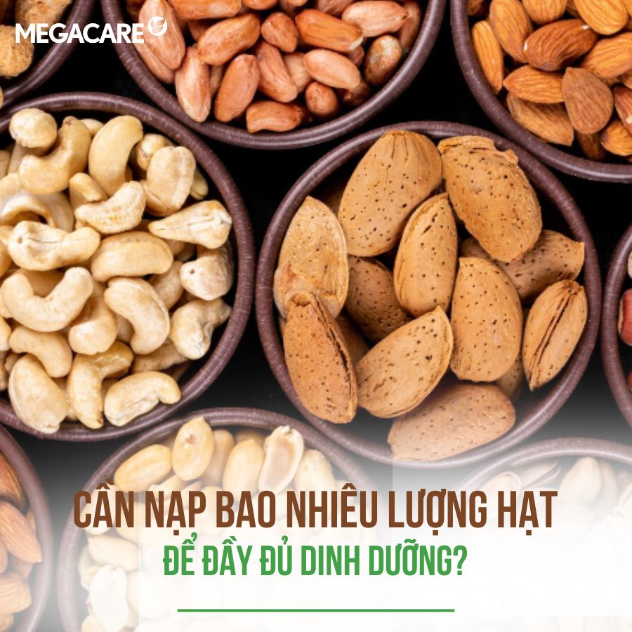 Cần Phải Bổ Sung Bao Nhiêu Lượng Hạt Để Đầy Đủ Dinh Dưỡng?