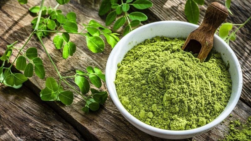 Uống bột chùm ngây có tốt không? 8+ công dụng không nên bỏ qua