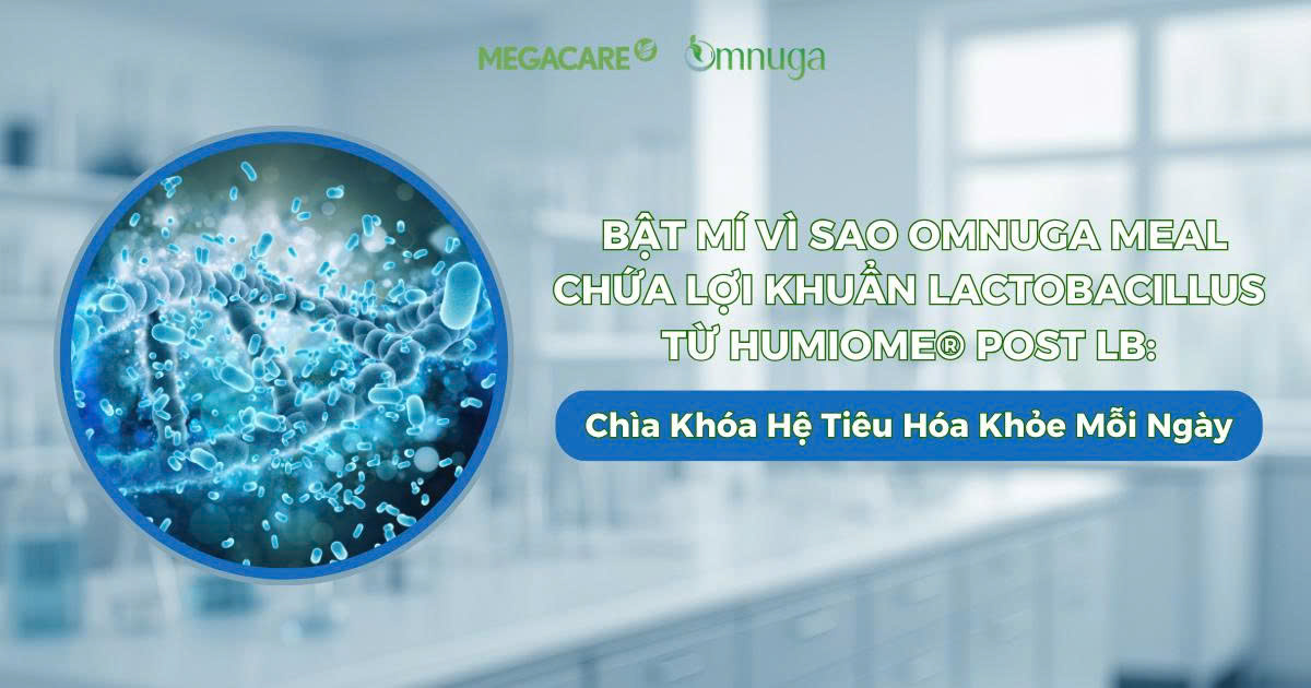 Bật Mí Vì Sao Omnuga Meal Chứa Lợi Khuẩn Lactobacillus từ Humiome® Post LB: Chìa Khóa Hệ Tiêu Hóa Khỏe Mỗi Ngày