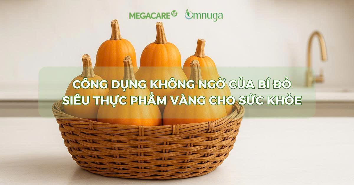 CÔNG DỤNG KHÔNG NGỜ CỦA BÍ ĐỎ – SIÊU THỰC PHẨM VÀNG CHO SỨC KHỎE